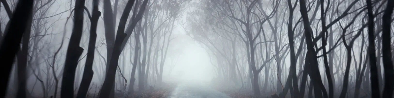 Australia's most terrifying encounters luxury travel