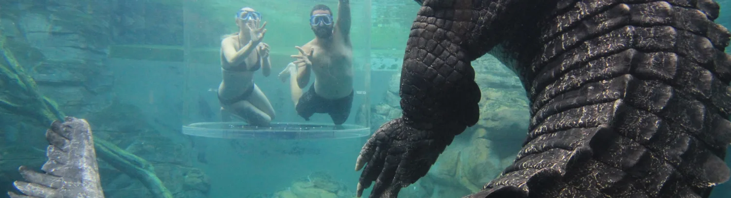 10 Unexpected Travel Experiences in Darwin luxury travel