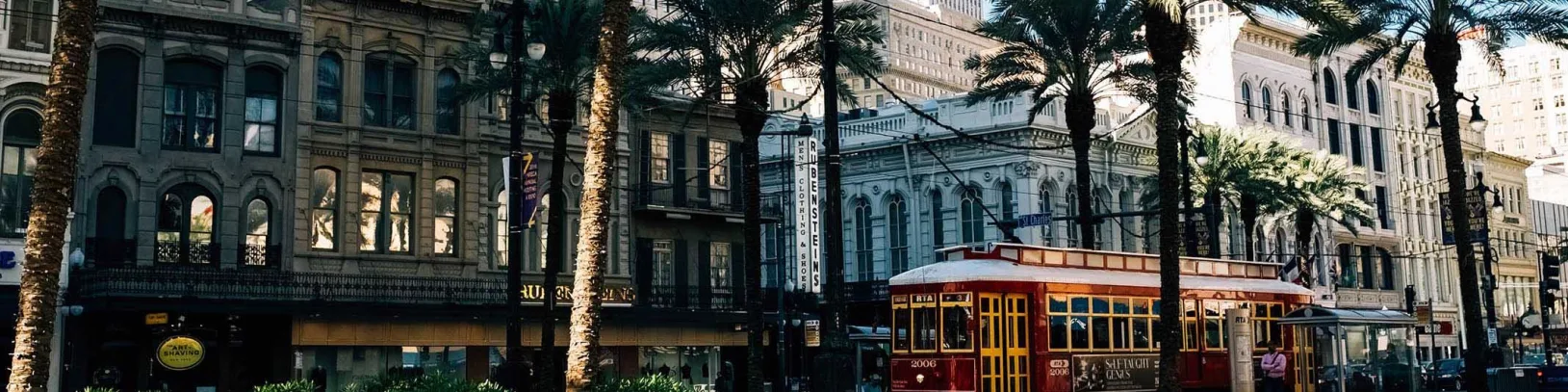New Orleans luxury Holiday Banner