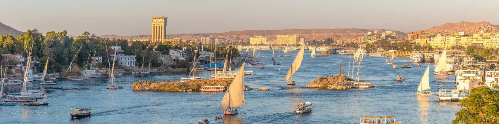 Nile Blog Advisor Banner
