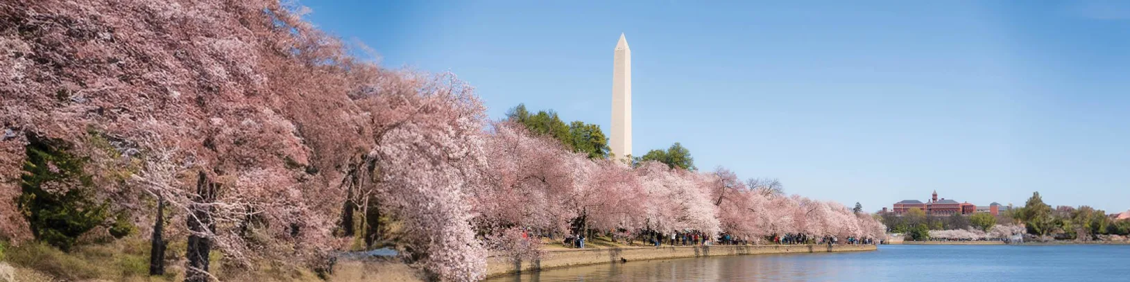 How to Spend 48 Hours in Washington, DC banner