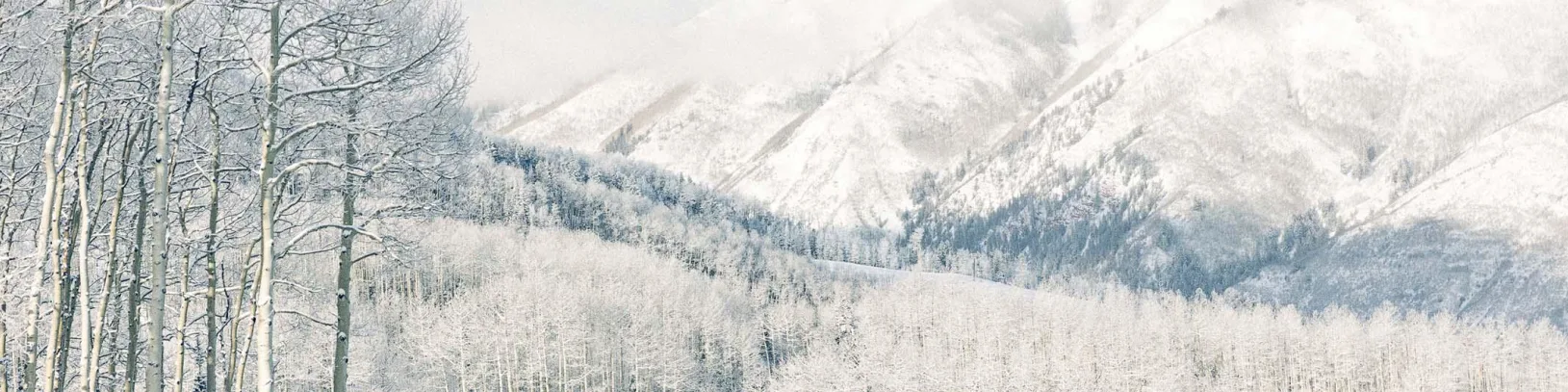 The Big Chill Header