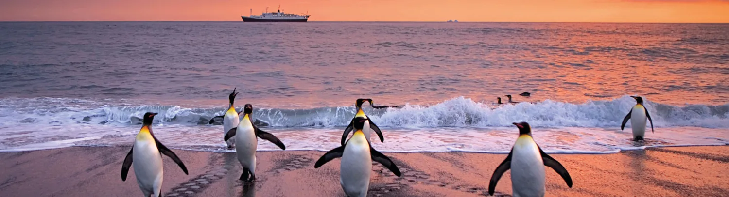 Antarctica Tres Chic luxury travel