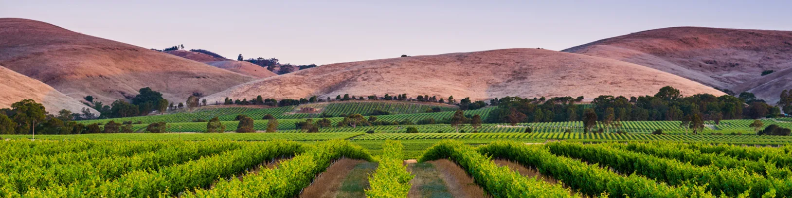 Keep Dreaming of...Adelaide luxury travel
