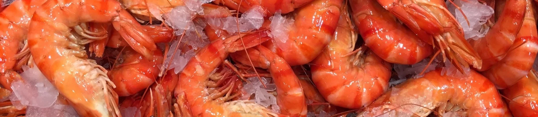 Sydney, a world class destination for food luxury travel