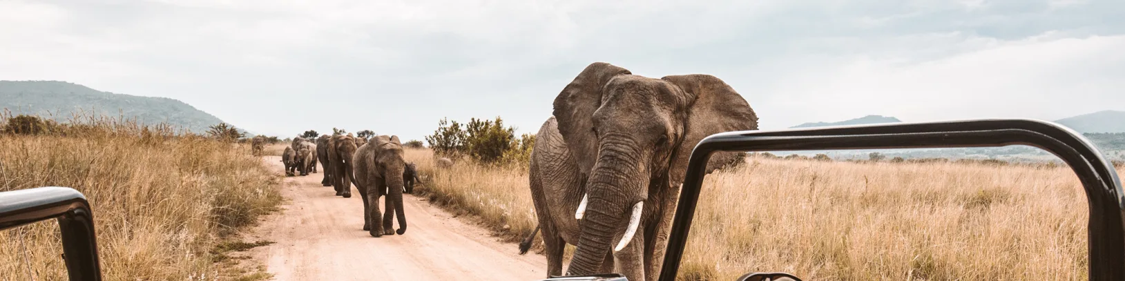 To be a travel expert, you need to travel luxury travel