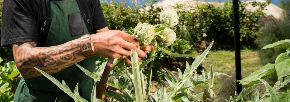 The Food Lovers Guide to Māori Cuisine luxury travel