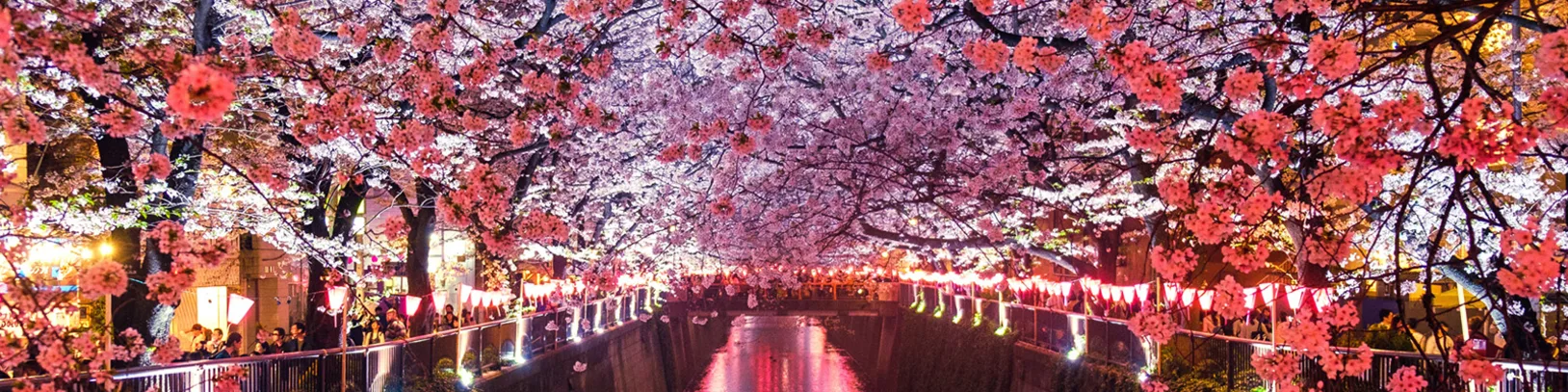 Our Hand-picked Festivals & Events for 2022 & beyond luxury travel