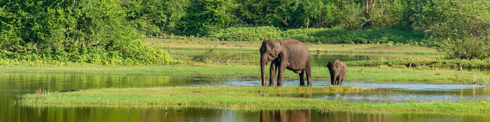 From Sentosa to Safari: Amy Gerard's One-of-a-Kind Luxury Holiday luxury travel