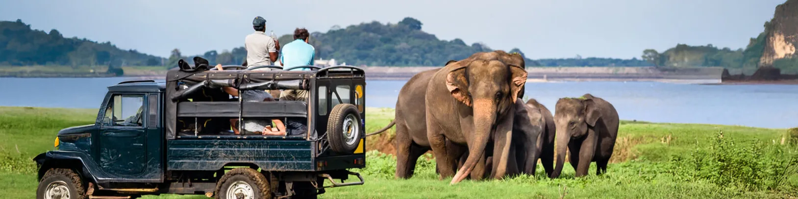 Ethical Wildlife Travel: See the World's Wildest (With Purpose) luxury travel