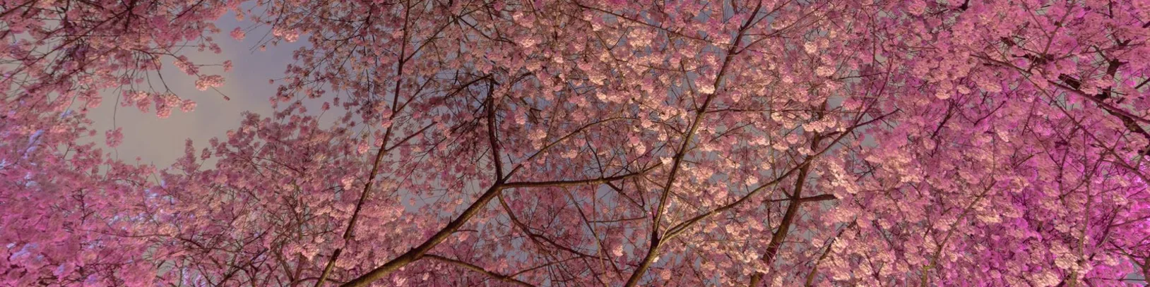 Canada in Spring