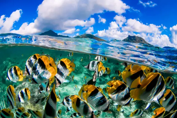 Tahiti's Wild Side: More Than A Honeymoon Hot Spot luxury travel