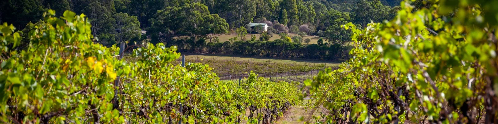 The Hunter Valley Itinerary luxury travel