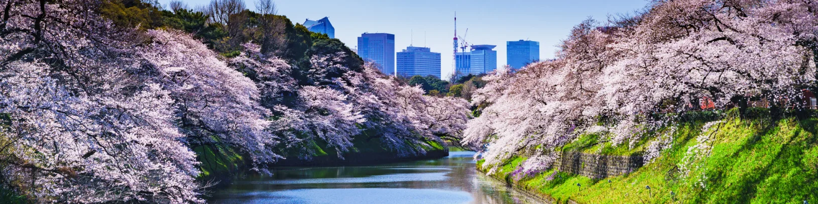 Old meets new in Tokyo luxury travel