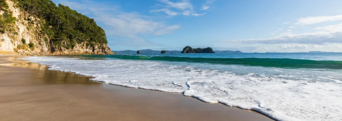 The Coromandel Awaits You luxury travel