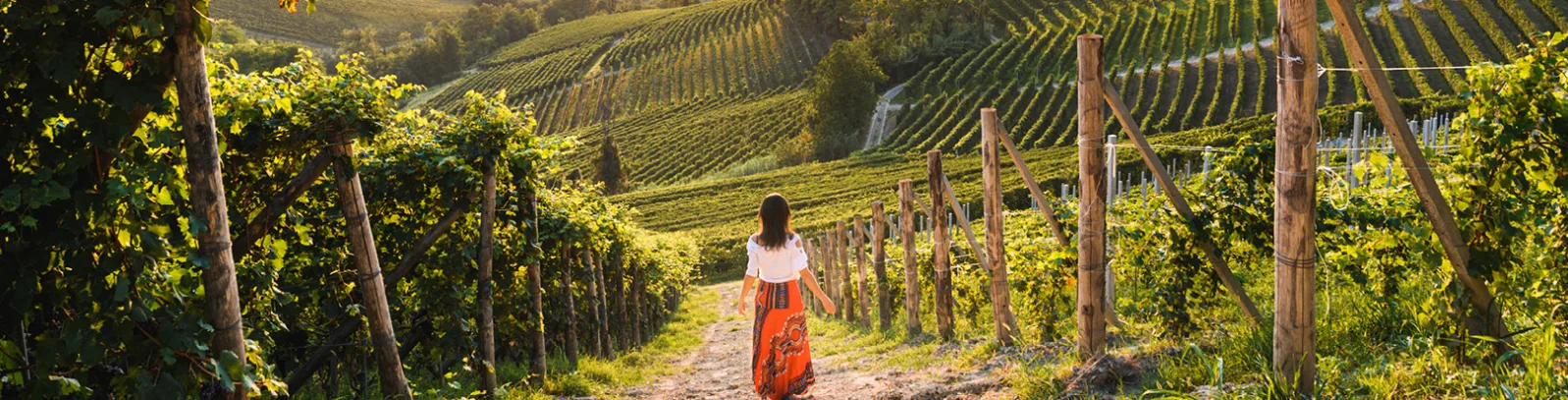 Where to go on holiday based on your favourite wine luxury travel