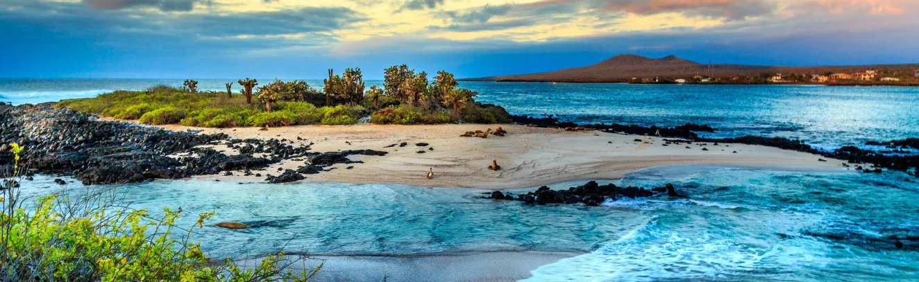 Celebrity Makes Waves in the Galapagos with Latest Ship Celebrity Flora luxury travel