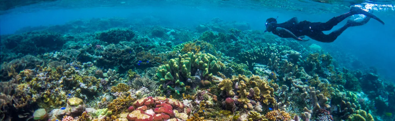 Diving Beneath The Surface In The Solomon Islands luxury travel