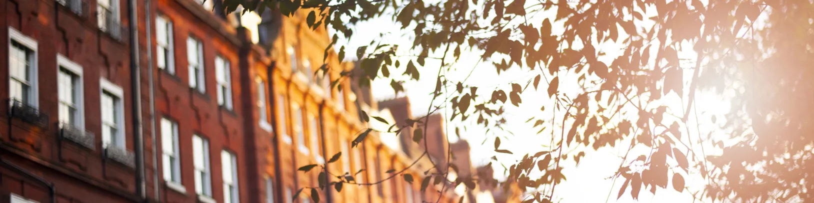 Chelsea: Beyond the Flowers and Football luxury travel