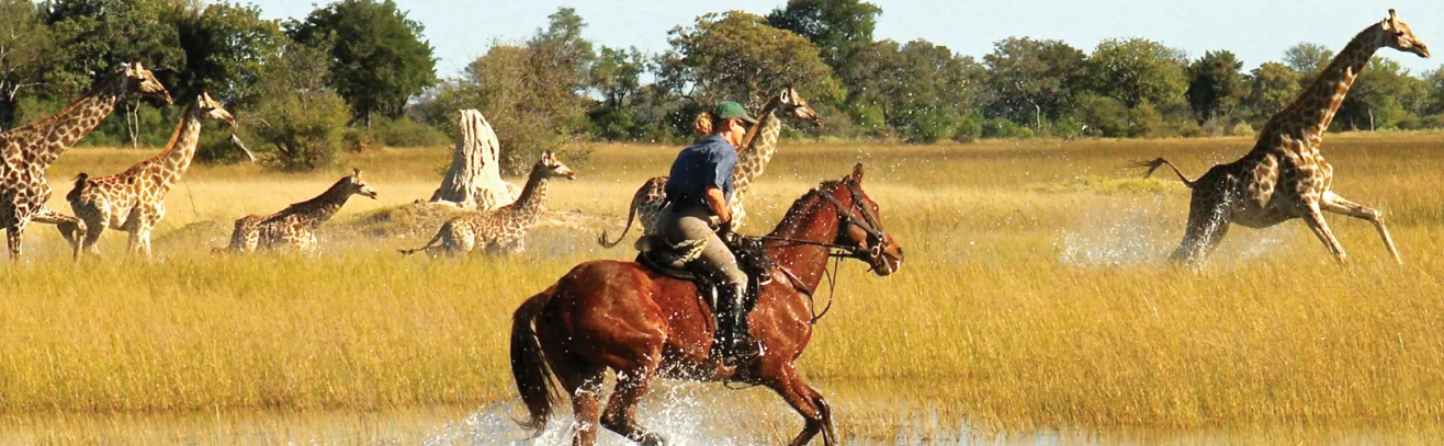 The Okavanga Delta from a New Perspective luxury travel