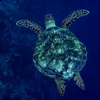 Magical Moments in the Maldives luxury travel