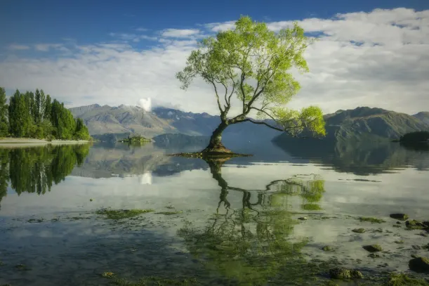 5 Luxury Experiences You Can Have Only In New Zealand luxury travel