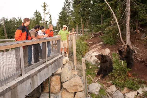 Spoilt By Vancouver's Nature luxury travel