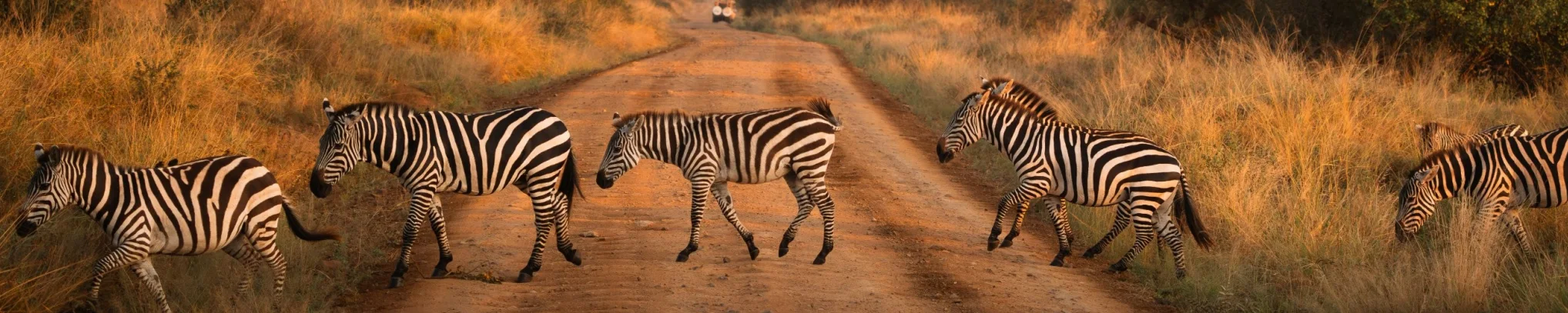 A&K Tanzania 