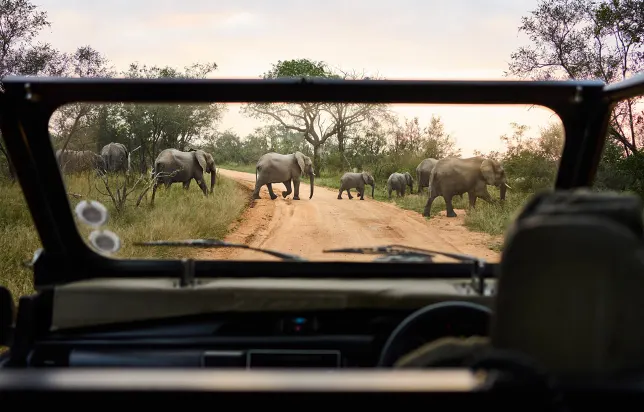 Luxury Travel Safari South Africa