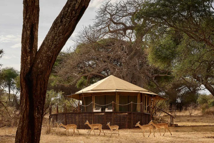 Swala Camp An A&K Sanctuary luxury hotel Tarangire National Park Tanzania