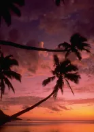 Marlin Bay Resort, luxury travel holiday, Fiji