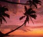 Marlin Bay Resort, luxury travel holiday, Fiji