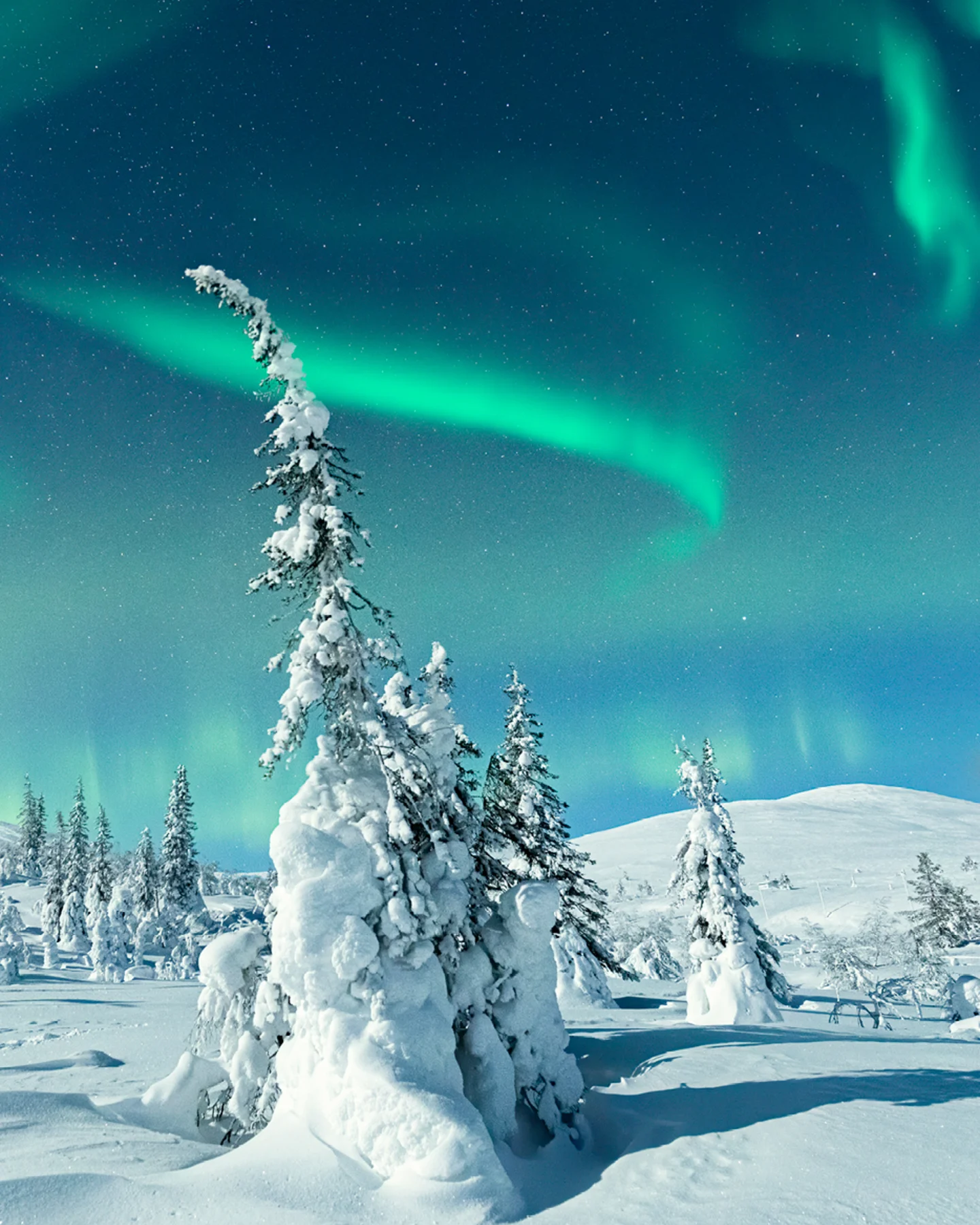 Finland_Header_Desktop_Lapland.jpg