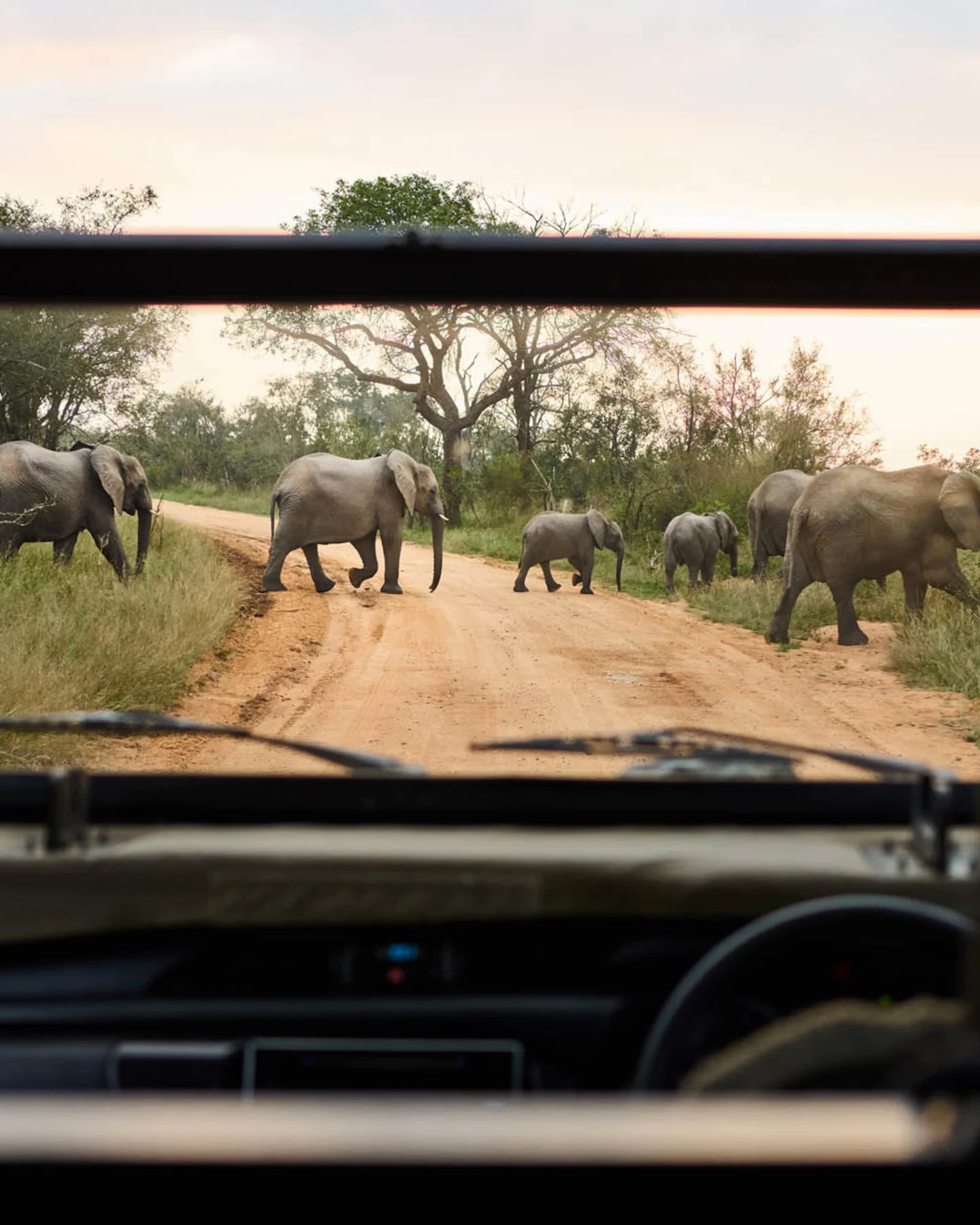 Luxury Travel Safari South Africa
