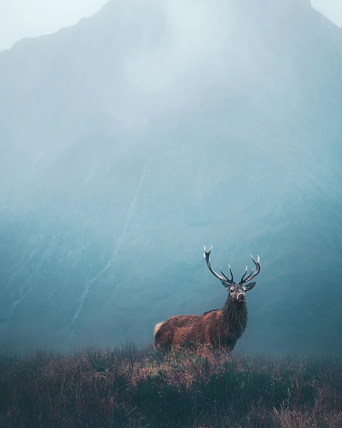 Scotland Luxury holiday Header Banner