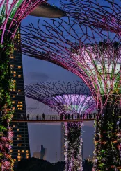 Luxury travel in Singapore