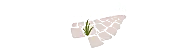 Back Roads Touring logo