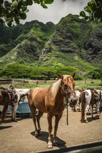 Ohau, luxury travel holiday, Hawaii, USA