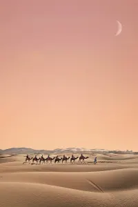 Luxury holiday to the Sahara Desert in Morocco
