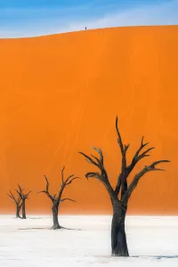 Luxury travel holiday Sossusvlei Namibia