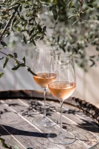 Wine glasses at a French Winery