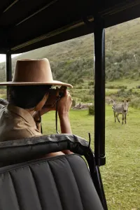 Luxury Travel Safari South Africa