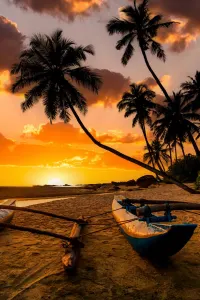 Mirissa, luxury travel holiday, Sri Lanka