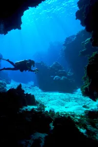 Scuba diving near Vanua Levu, luxury travel holiday, Fiji