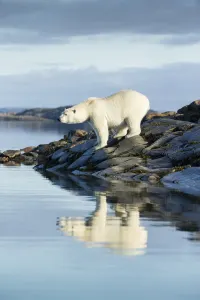 Hudson Bay, Nunavut, Canada