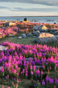 Hudson Bay, Canada