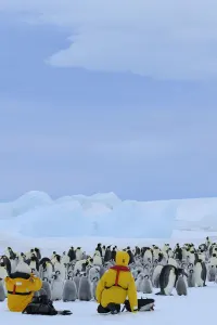 Weddel Sea, luxury cruise holiday to Antarctica