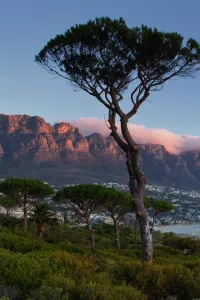 Luxury Travel South Africa