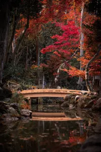 Nara, Japan