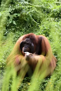 Travel Associates luxury travel wild wonders holiday